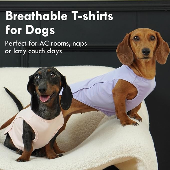 2 Pack Dog Shirt Quick Dry, Sun Protection UPF50+ Summer Cooling Vest, Soft Lightweight Tshirts for Medium Dogs Allergies Wound Care, Purple+Pink, M