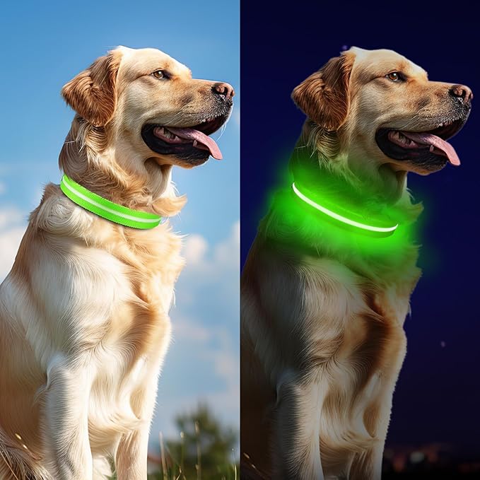 Light Up Dog Collar, Adjustable USB Rechargeable Glow in Dark Dog Collar ，Waterproof Dog Collars for Small Dogs (Green, Small)