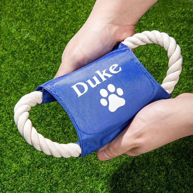 Personalized Flying Disk Dog Toy Multicolor | Custom Name Cartoon Pet Toys | Dog Toys for Large Dogs