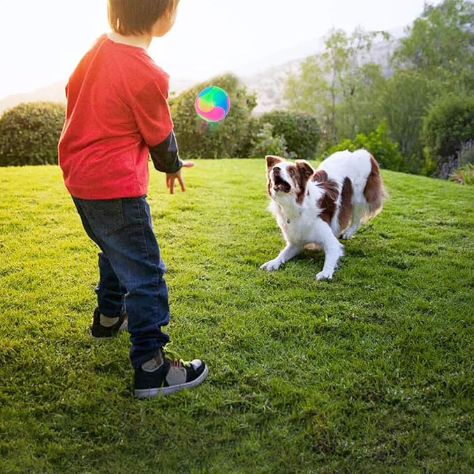 FineInno 2 pcs Large Light Up Dog Balls Flashing Elastic Ball Bouncy Glow in The Dark Interactive Jumping Blinking Dog Ball Pet Toys for Golden Retriever,Labrador,Large Dogs