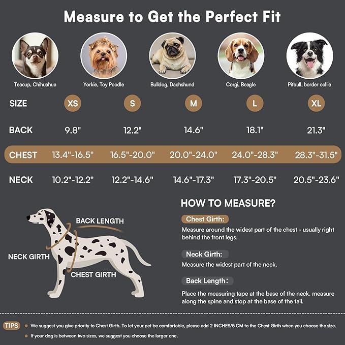 Queenmore Dog Winter Coat Warm Dog Jacket for Cold Weather, Quilting Puffer Plaid Coats for Small/Medium Dogs Waterproof,Girl/Boy Pet Christmas Coat,Pet Snowsuit with Leash Hole/Fleece Padding, XS