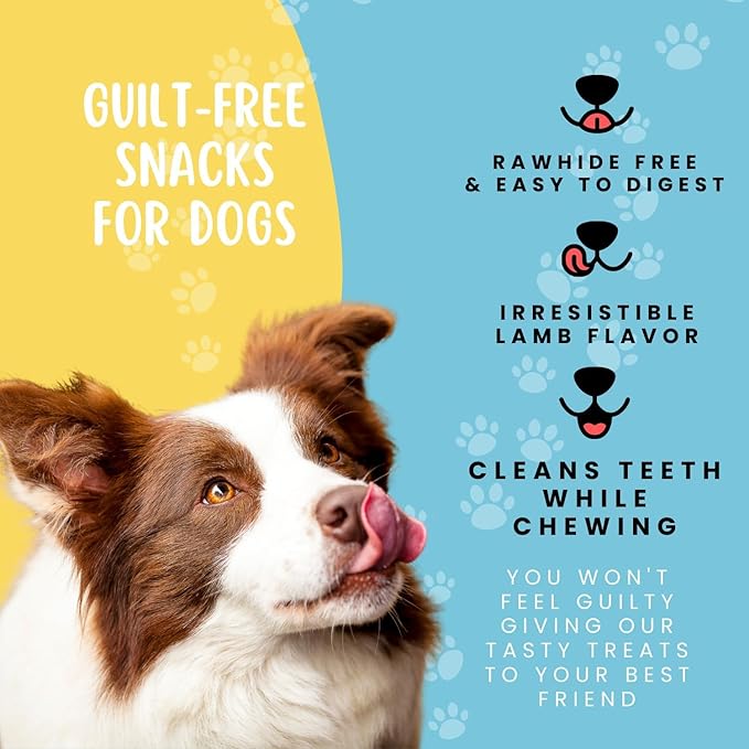 Dehydrated Lamb Lung Dog Treats - 2 Pound Big Bag, All-Natural, Made in USA - High Protein, Low Fat - Slow Roasted Oven Baked A Healthy Rawhide Alternative for All Dogs