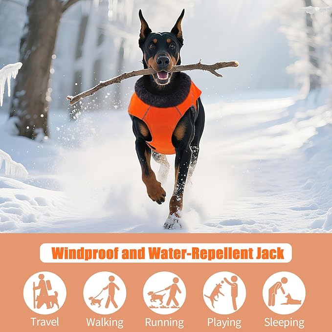 DENTRUN Medium Dog Winter Jacket - Warm Reflective Windproof Coat, Adjustable Neck & Snap Closure, Water Repellent Thick Fleece Vest, Fleece Lined for Beagle Pug, Orange, M