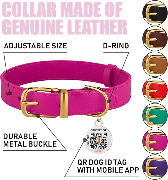 BRONZEDOG Leather Dog Collar with Metal Buckle Durable Basic Pet Collars for Small Medium Large Dogs (14-17 Inch (Pack of 1), Pink & Gold Buckle)
