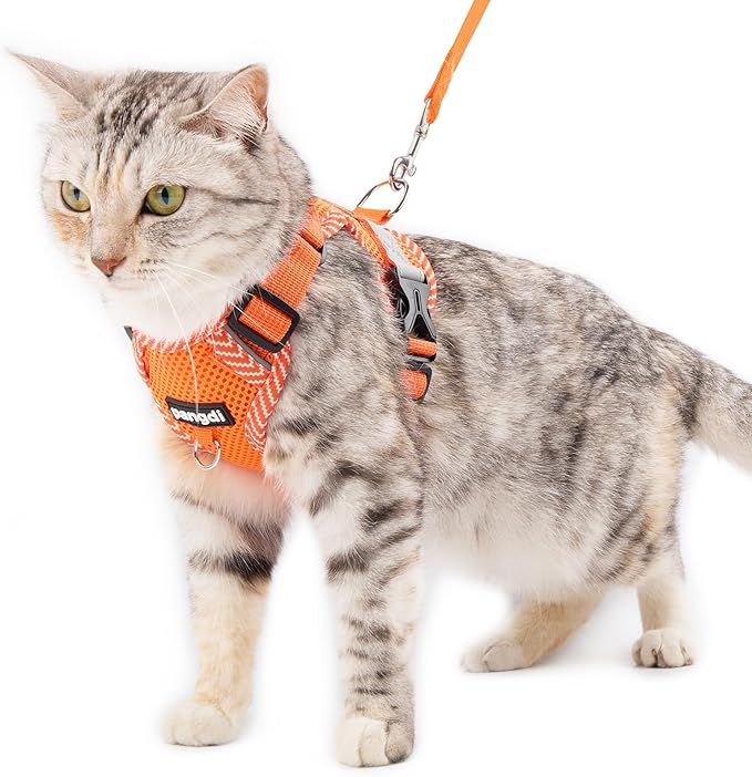 Cat Harness and Leash Escape Proof Small Kitten Harness Abyssinian Cat Vest for Walking Travel, Orange, S