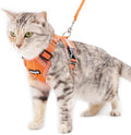 Cat Harness and Leash Escape Proof Extra Large Kitten Harness Maine Coon Cat Vest for Walking Travel, Orange, XL