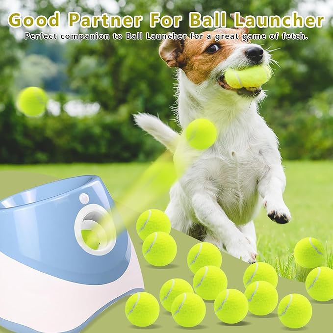 Magicorange 12 Pack Small Tennis Balls, 2 inch Tennis Balls for Dogs,Colorful Easy Catching Pet Playing Ball(Yellow, 12 Pack)