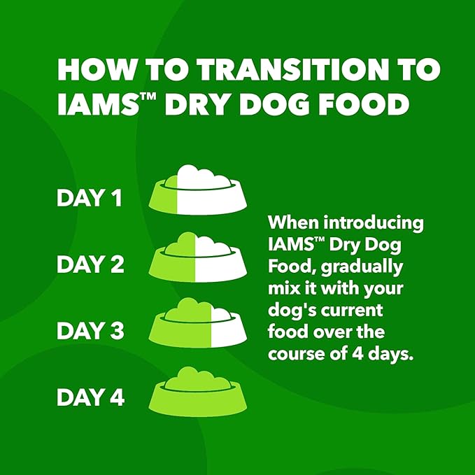 IAMS Proactive Health Adult Dry Dog Food Beef and Rice Recipe, 7 lb. Bag