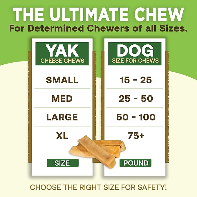 EcoKind Premium Gold Yak Cheese Himalayan Dog Chews, Healthy Dog Treats, Yak Chews for Small Dogs, All Natural, Long Lasting Dog Chew, High Protein Puppy Treat, Small - 70+ Chews (5 lbs)
