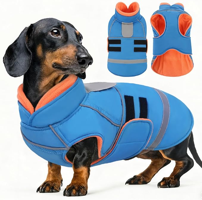 SUNFURA Dog Coat, Warm Dog Jacket for Small Dogs, Reflective Winter Coat with Fleece Lined, Windproof Pet Snowsuit Puppy Sweater Clothes, Turquoise XS
