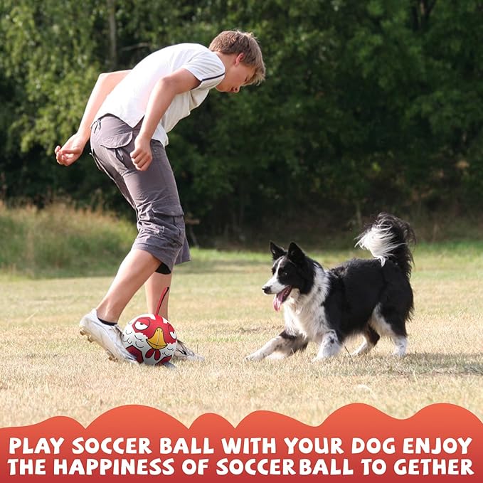 QDAN Premium Dog Balls Toys, Outdoor Dog Toys, Dog Soccer Balls with with Straps, Pet Puppy Birthday Gifts for Small Medium Dogs, 6 Inch, Chicken Ball