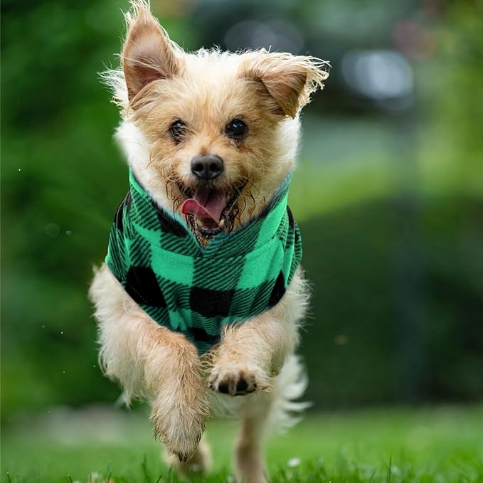 KAMA BRIDAL Spring Autumn Winter Coat Pullover Fleece Vest for Cats Small and Medium Dogs Thin Sweater Green & Black Plaid (Green, XXS)