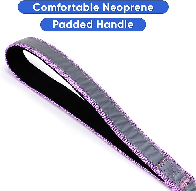 Pawtitas 6 FT Padded Dog Leash with Comfortable Neoprene Padding Handle - Purple Lead | Medium Reflective Dog Leash with Highly Reflective Band Perfect for Medium and Large Dogs and Puppies.