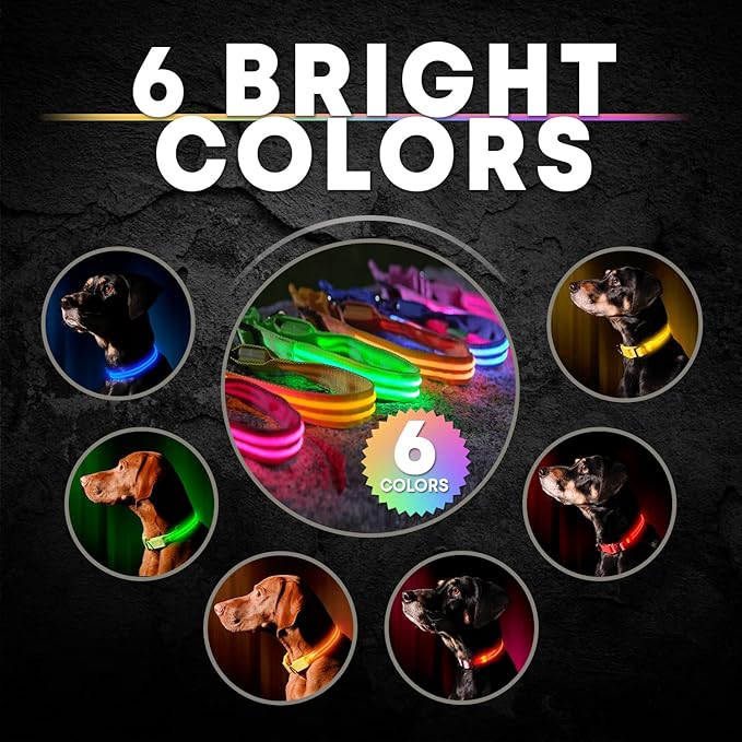 ILLUMISEEN LED Dog Collar USB Rechargeable - Bright & High Visibility Lighted Glow Collar for Pet Night Walking - Weatherproof, in 6 Colors & 6 Sizes (Orange Large)