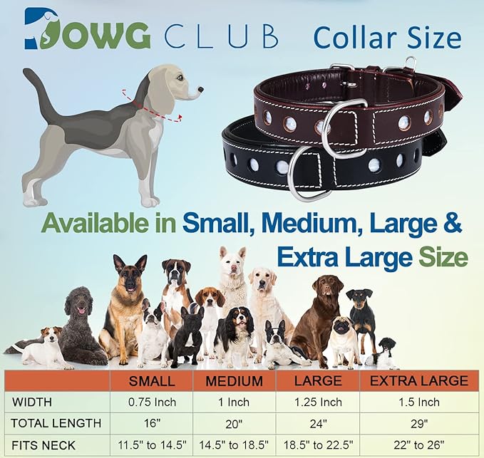 Genuine Leather Reflective Dog Collar | Stellar Series | Safe for Night Walking | Soft, Cushion Padding, Handmade | Best for Small, Medium, Large, XL (M (Fit Neck Size 14.5"-18.5"), Raven)