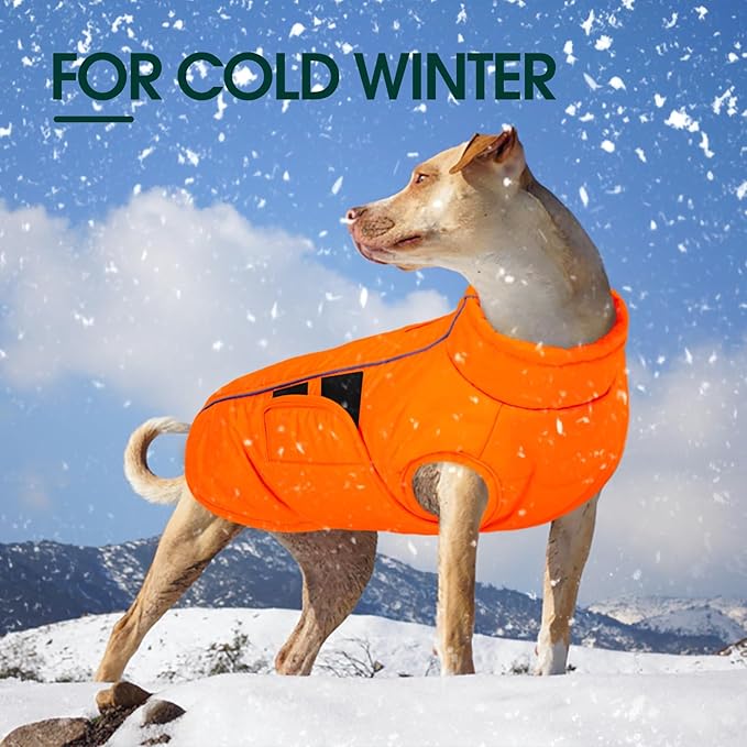 Kuoser Dog Jacket, Winter Dog Coats for Medium Dogs, Reflective Doggie Cold Weather Coats Pet Clothes, Puppy Snow Jacket for Frech Bulldog, Boston Terrier, Orange M