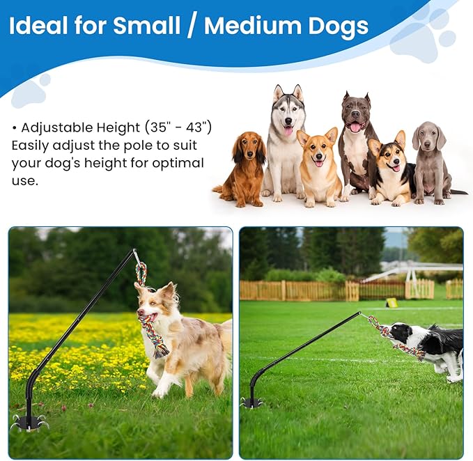 Tether Tug Outdoor Dog Toy, Interactive Exercise Game in Yard Park Tug of War with Chew Rope Toy for Small Medium Large Dogs, Adjustable Dog Stake Toy to Pull Chase and Solo Play