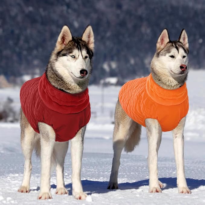 Kuoser Medium Dog Coat | All-Breed Thermal Wear with Windproof Layer | Reflective Tabs Enhance Visibility in Snow, Snap Buckles Simplify Dressing, Orange L