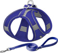 AIITLE Small Harness for Puppy with A Leash - Summer Dog Vest Harness with Super Breathable Mesh, Reflective No-Pull Pet Harness for Outdoor Walking, Camping for Small Dogs, Cats Royal Blue XXS