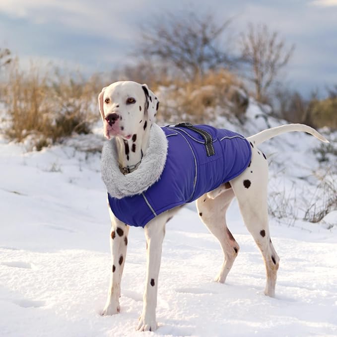 Lelepet Warm Dog Winter Coat Waterproof Dog Jacket with Adjustable Buckle & Leash Hole Reflective Pet Fleece Snowsuit Turtleneck Windproof Cold Weather Coats, Blue, S