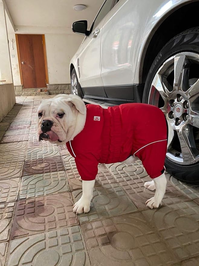 Dogs Waterproof Jacket, Lightweight Waterproof Jacket Reflective Safety Dog Raincoat Windproof Snow-Proof Dog Vest for Pugs English French Bulldog American Pit Bull Red B-M