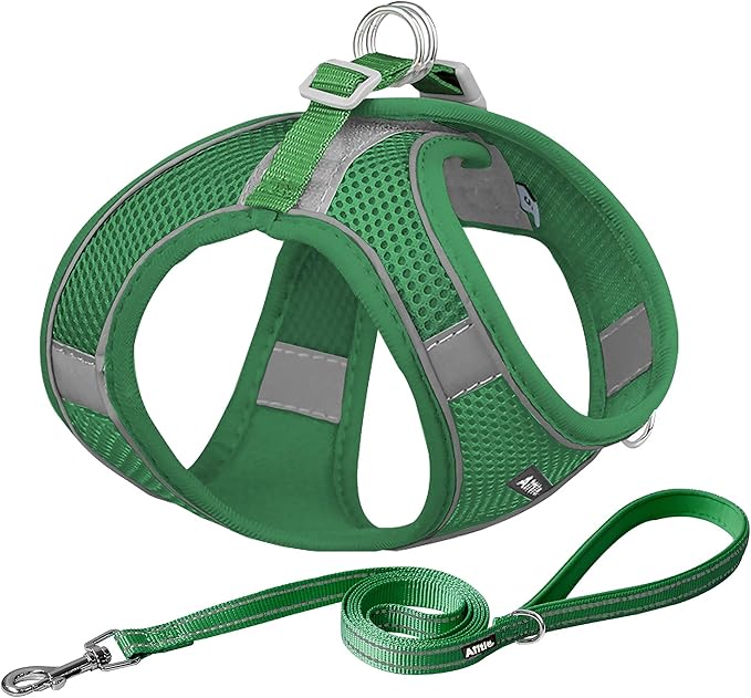 AIITLE Small Harness for Puppy with A Leash - Summer Dog Vest Harness with Super Breathable Mesh, Reflective No-Pull Pet Harness for Outdoor Walking, Camping for Small Dogs, Cats Green XXS