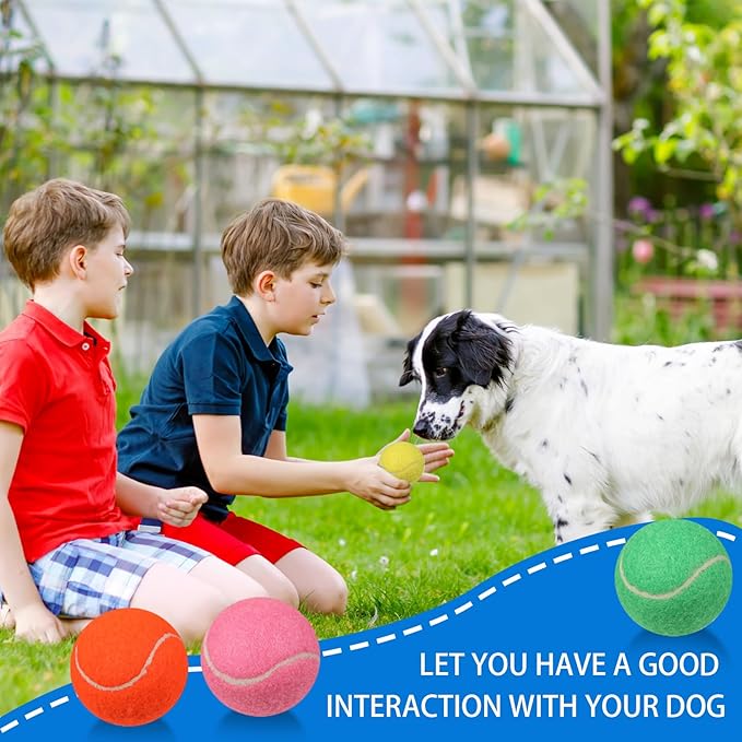 Liliful 50 Pieces 2.5'' Dog Squeaky Tennis Balls for Pet Playing Medium Large Dogs Puppy Balls for Training Toy with Squeaker Easy Fetch Play Exercise(Multicolor)