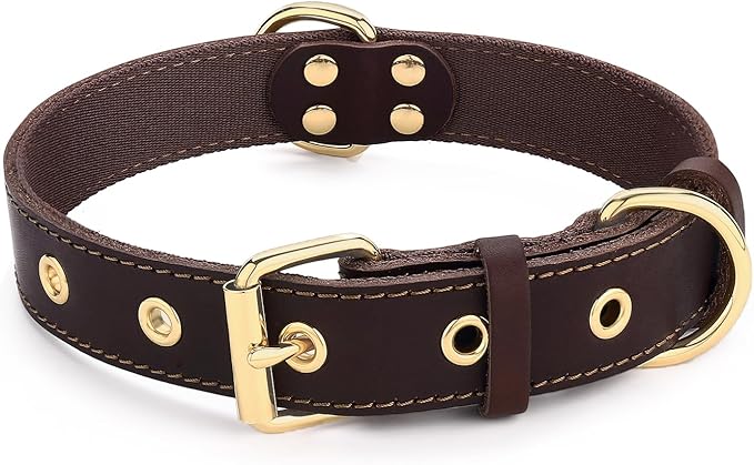 Leather Dog Collar,Dog Collar with Adjustable Sturdy Metal Buckle,Heavy Duty Dog Collar for Walking, Hiking, Training, Hunting (Brown,M:16.2"-22" Neck)