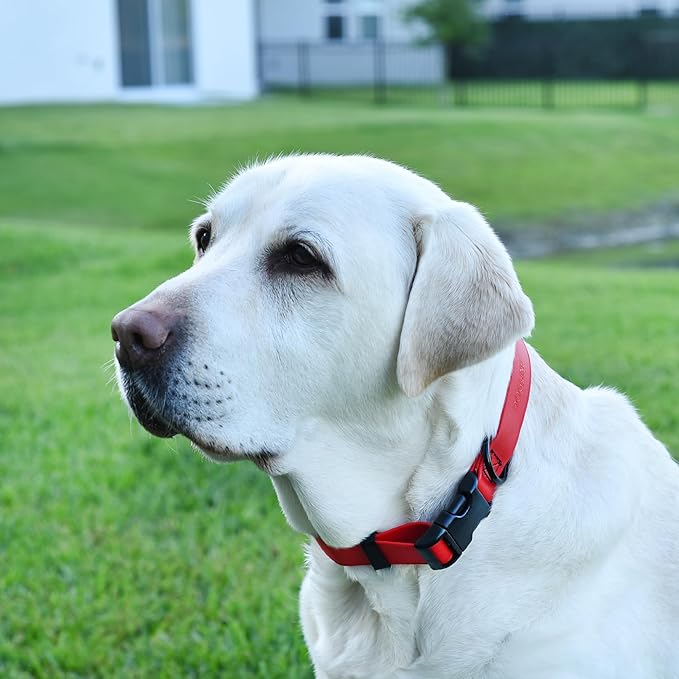 Dogline Biothane Waterproof Dog Collar with Quick Release Buckle Strong Coated Nylon Webbing with Odor- Proof for Easy Care Easy to Clean Fits Small Medium or Large Dogs, Red 1" W 15-23" L
