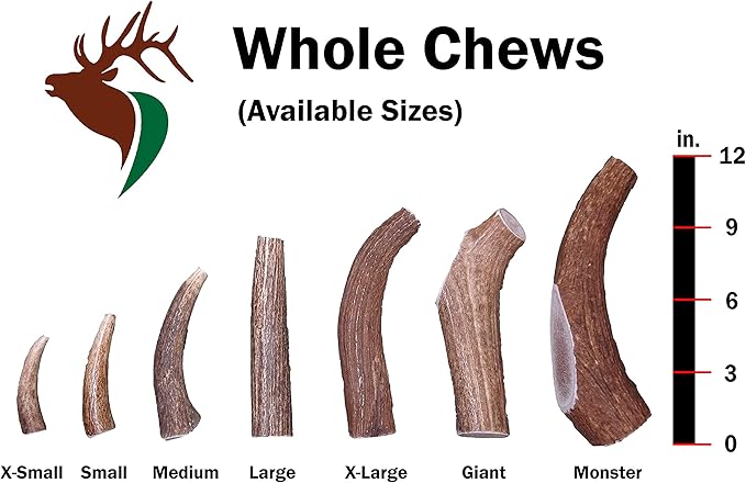 Small Whole Twin Pack (for 10-30 lb Dogs and Puppies) Premium Grade Elk Antlers for Dogs (2 Pieces) Sourced in The USA