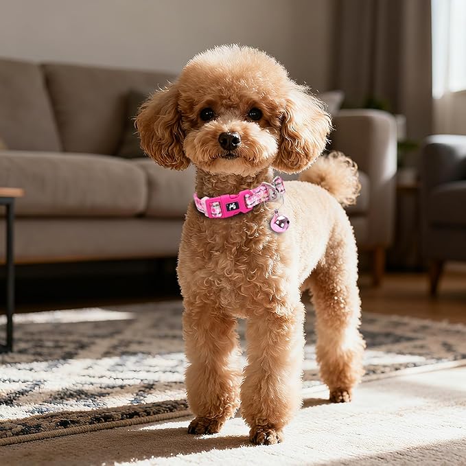 Pink Small Dog Collar with Bell - Reflective Soft Kitten-Safe Collar for Tiny Dogs, Adjustable Flower Pattern Nylon Collar for Teacup Chihuahua Pomeranian Kittens (Small Flower)