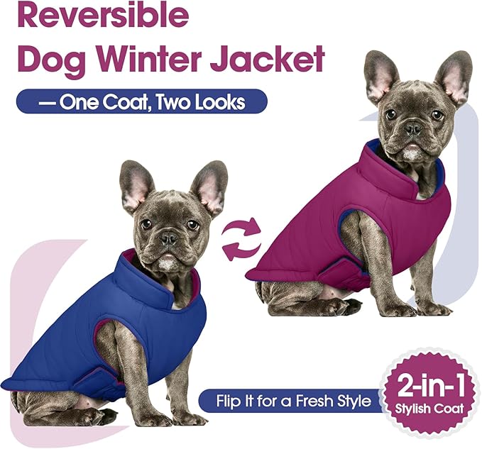 QBLEEV Reversible Dog Coat for Small Dogs, Waterproof Windproof Winter Jacket Keeps Small Breeds Warm & Dry, Lightweight Adjustable Puffer Vest with Leash Hole, Purple, XS – Fits Chihuahua, Yorkie