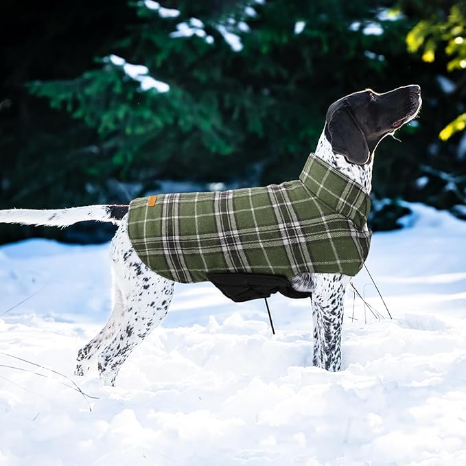 Kuoser Warm Dog Coat, Waterproof Dog Coats for X-Small Dogs, Adjustable Durable Doggie Winter Jacket Reversible Cozy Puppy Cold Weather Apparel from Small to Large Breed, Green XS