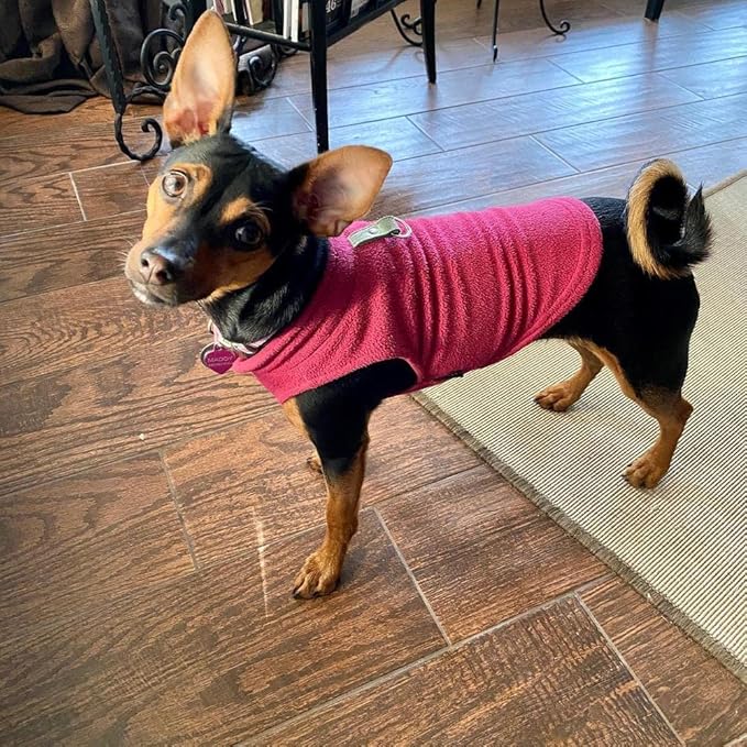Gooby Fleece Vest Dog Sweater - Fuchsia, Medium - Warm Pullover Fleece Dog Jacket with O-Ring Leash for Small to Medium Dogs
