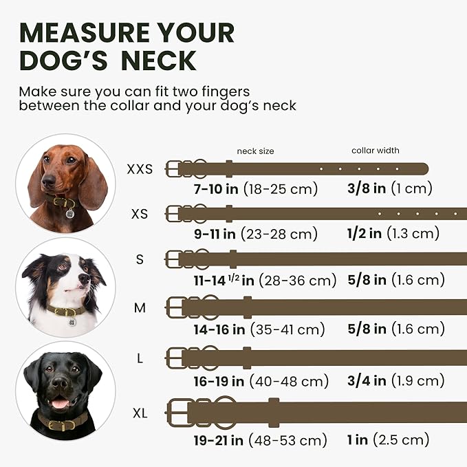 BronzeDog Rolled Leather Dog Collar with QR ID Tag, Adjustable Soft Round Collars for Small Medium Large Dogs Puppy (11" - 14 1/2" Neck Size, Nut Brown)