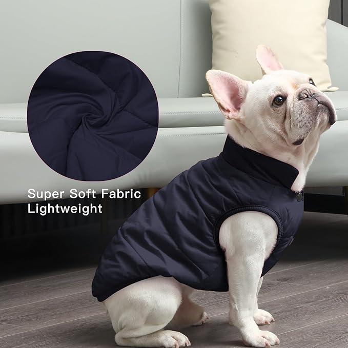2 Layers Fleece Lined Warm Dog Jacket for Puppy Winter Cold Weather,Soft Windproof Small Dog Coat,Blue M