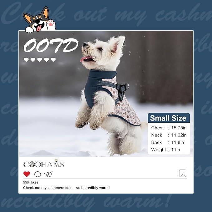 Dog Winter Coat for Small & Medium Dogs (Up to 31lb), Waterproof Dog Coat with Harness, Puppies Windproof Puppy Puffer Jacket, Snowsuit for Dachshund,Frenchie, Corgi (Paw Blue, Medium)