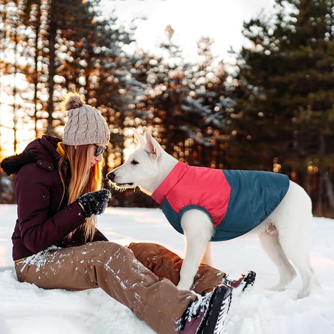 ASENKU Dog Winter Coat - Waterproof Windproof Dog Jacket, Warm Snowproof Doggie Puffer Vest for Cold Weather, Lightweight Snow Coats for Small Medium Large Dogs (Red&Navy, L)
