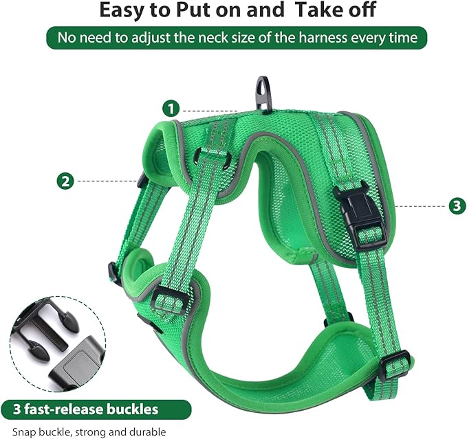 Rttochfy Cat Harness and Leash Set, Adjustable and Reflective Cat Vest, Escape Proof Kitten Harness, Easy to Put on with 3 Buckles for Cats Walking and Traveling (Light Green, M)
