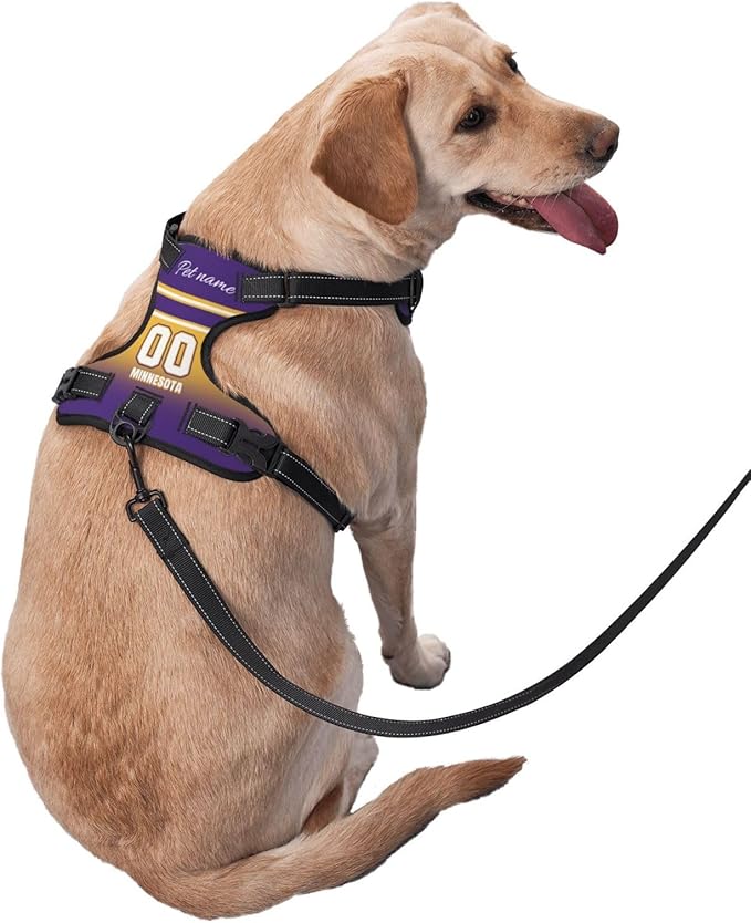 Custom Minnesota Dog Harness with Reflective Stripes Personalized Name and Number Dog Vest Harness with Pet Traction Rope for Small Medium Large Dog