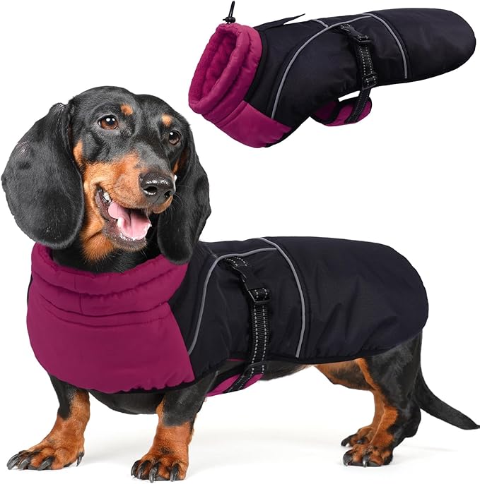 DORA BRIDAL Dachshund Coat, Fleece Lined Dog Winter Coat, Warm Dog Coats with Reflective Strips, Adjustable Waterproof Pet Jacket Clothes, S