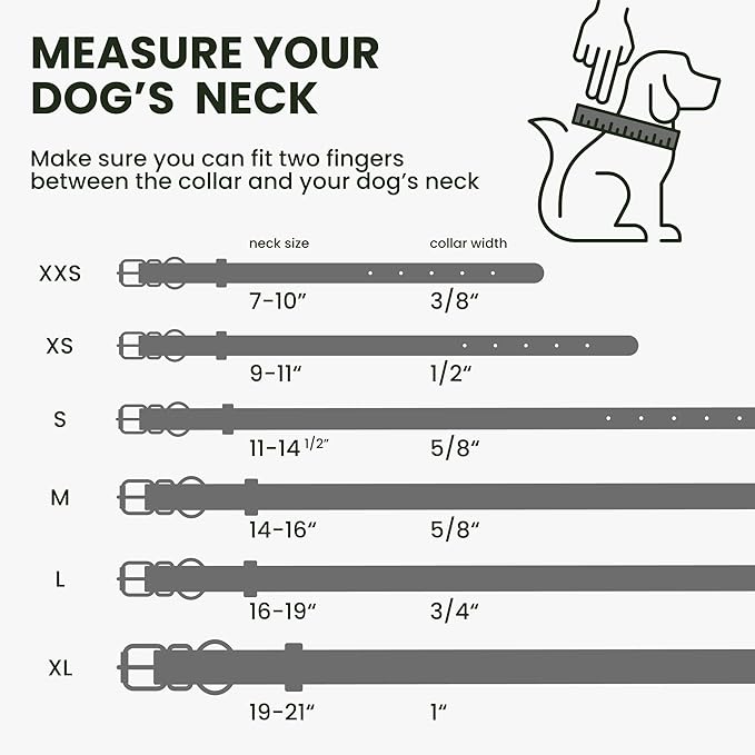 BronzeDog Rolled Leather Dog Collar with QR ID Tag, Adjustable Soft Round Collars for Small Medium Large Dogs Puppy (11" - 14 1/2" Neck Size, Violet)