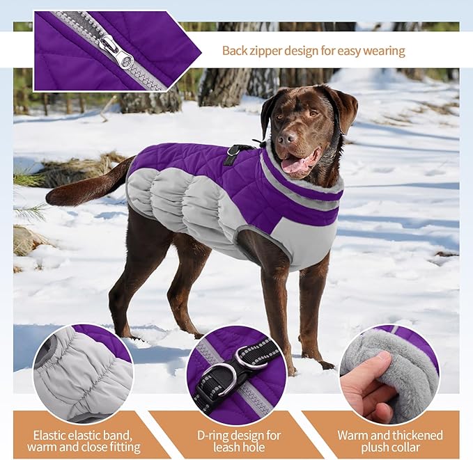 Dog Jackets for Medium Dogs,Medium Dog Coat,Warm Pet Winter Coat Zip Up Back,Waterproof Dogs Jacket with D-Ring,Pet Cold Weather Coats with Fleece Lined, Snowsuit Pug Boston Terrier,Purple,M