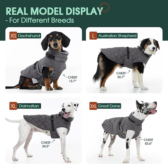 Kuoser Dog Coat Warm Fleece Lining Turtleneck Dog Jacket with Harness Built-in, Adjustable Windproof Cold Weather Coats with Quick Release Buckle Pet Winter Snowsuit for Extra Small Dogs, Grey XS