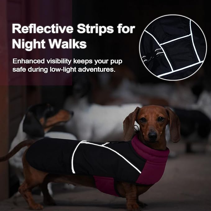 Lelepet Dachshund Coat Warm Dog Winter Coat Waterproof Dog Jacket with Fleece Lining, Reflective Outdoor Dachshund Snowsuit with Leash Hole Adjustable Neckline,Coats for Small Medium Dogs,Purple, XS