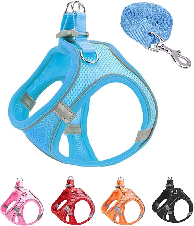 XXXS Blue Soft Mesh Dog Harness and Leash Set,No Escape Puppy Harnesses for Training Walking， Reflective Adjustable Puppy Vest for Small Medium Dogs, Cats (Blue, XXXS)