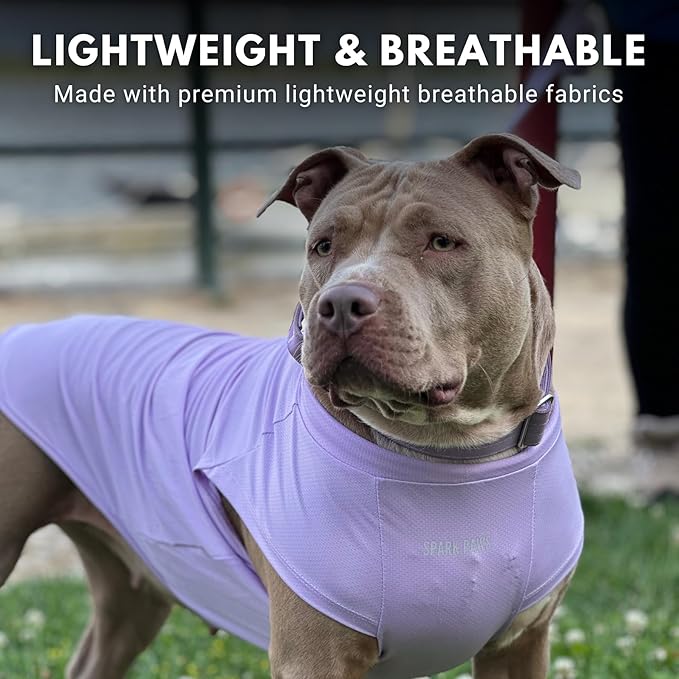 Spark Paws Sunblock Dog T-Shirt, SPF30 Protection, Lightweight Breathable Quick Dry for Dogs with Sensitive Skin - Purple & Pink (Set of 2) - L