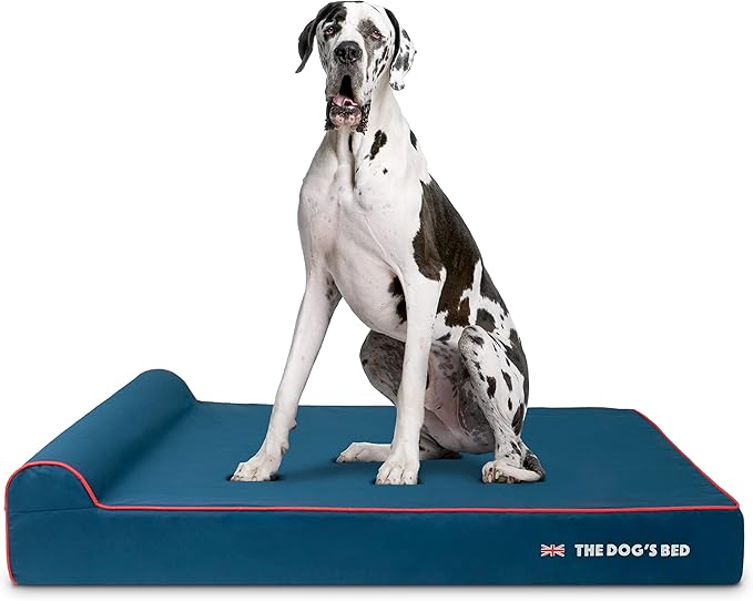 The Dog’s Bed Orthopedic Headrest Dog Bed XXL Blue Oxford with Red Trim UK Flag Dog Bed, Memory Foam, Hip & Elbow Dysplasia, Post Surgery, Waterproof Washable Cover