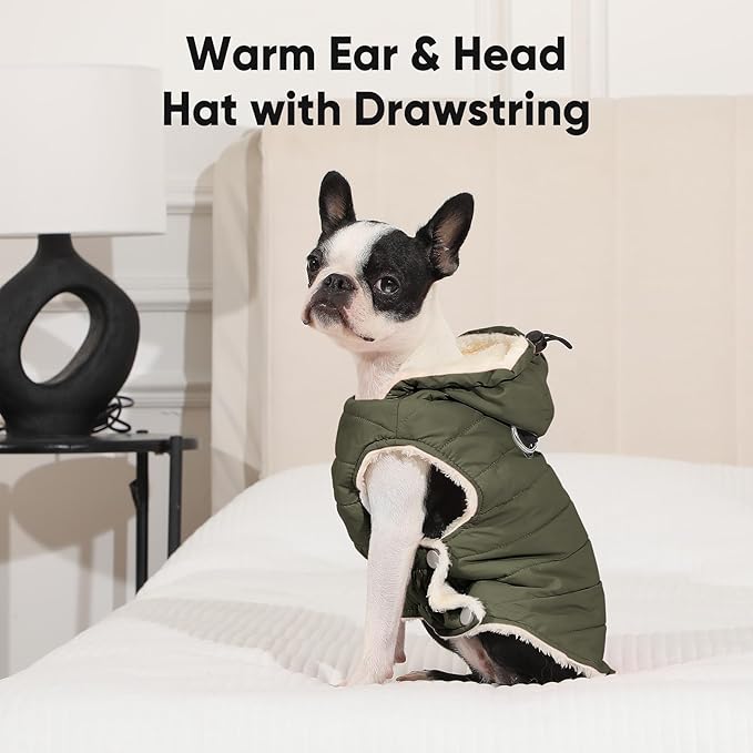Fleece Lining Dog Hoodie with Harness Built in,Extra Warm Medium Dog Jacket in Winter Doggie Coats with Drawstring Hooded,Green XL