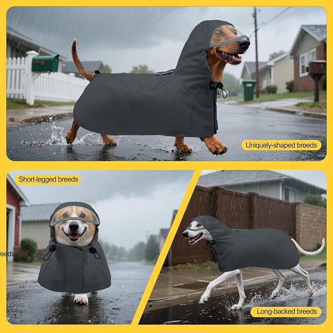 DENTRUN Dog Raincoat with Hood for Border Collie, Shiba Inu – Windproof & Reflective for Night Walks, Jogging, Backpacking – Adjustable Fit, XL